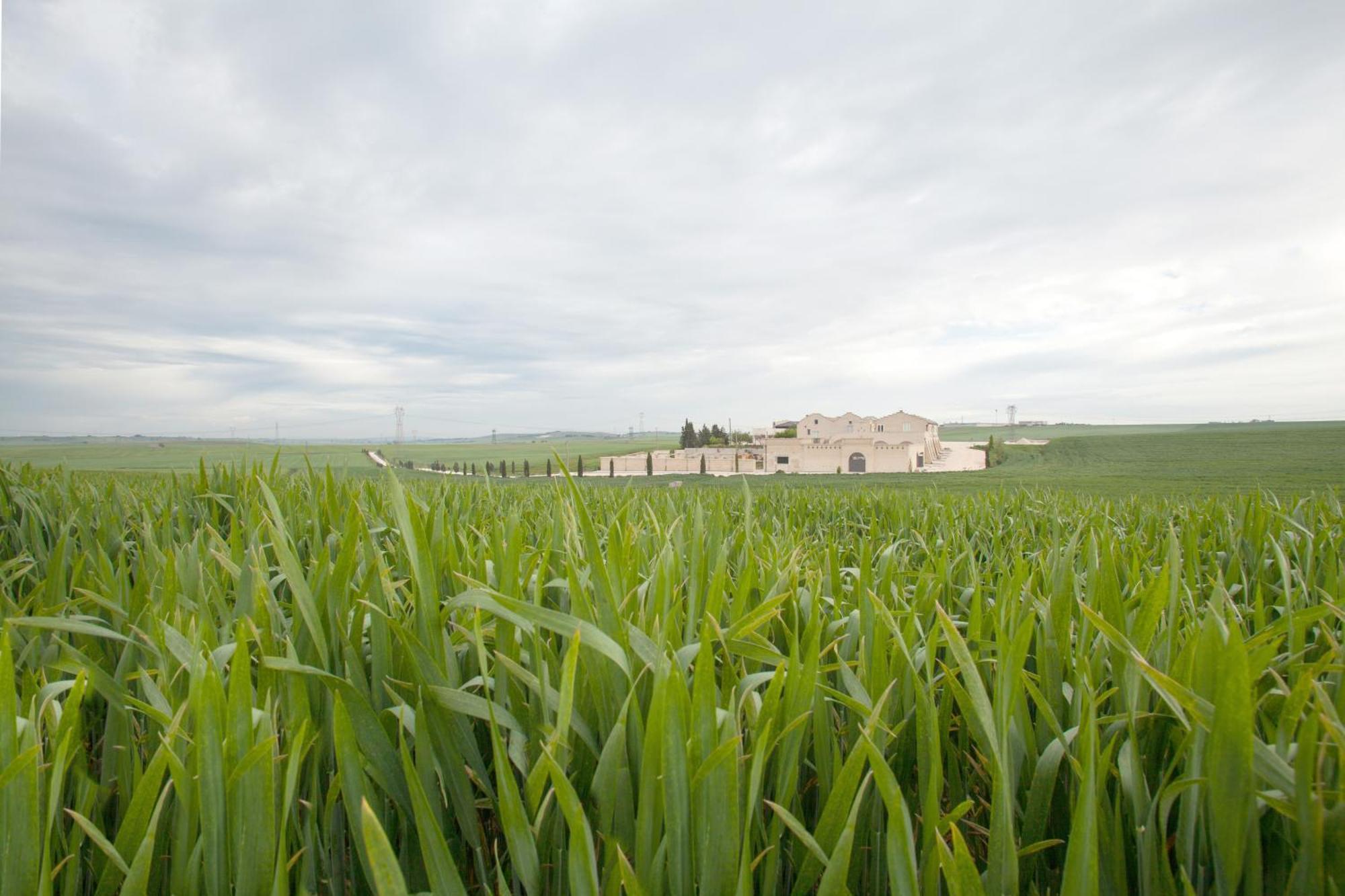 Tenuta Danesi - Camere - Appartamenti - Bubble Room Matera Exterior foto